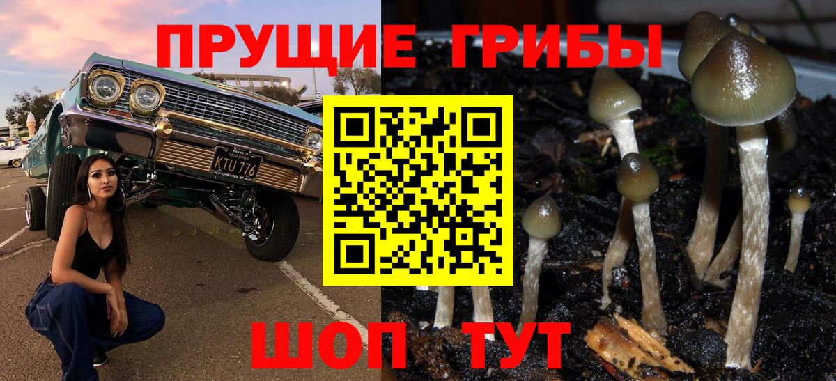 Галлюциногенные грибы GOLDEN TEACHER  Вход с VPN  Всеволожск  Галлюциногенные грибы мухоморы 