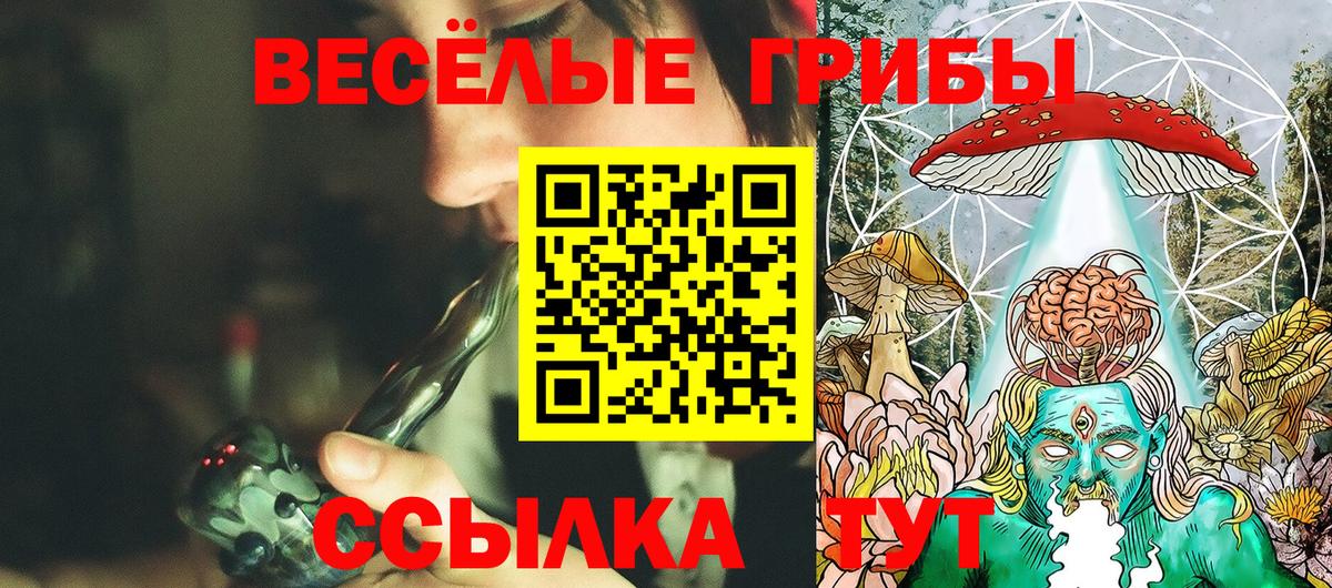 Псилоцибиновые грибы GOLDEN TEACHER Всеволожск