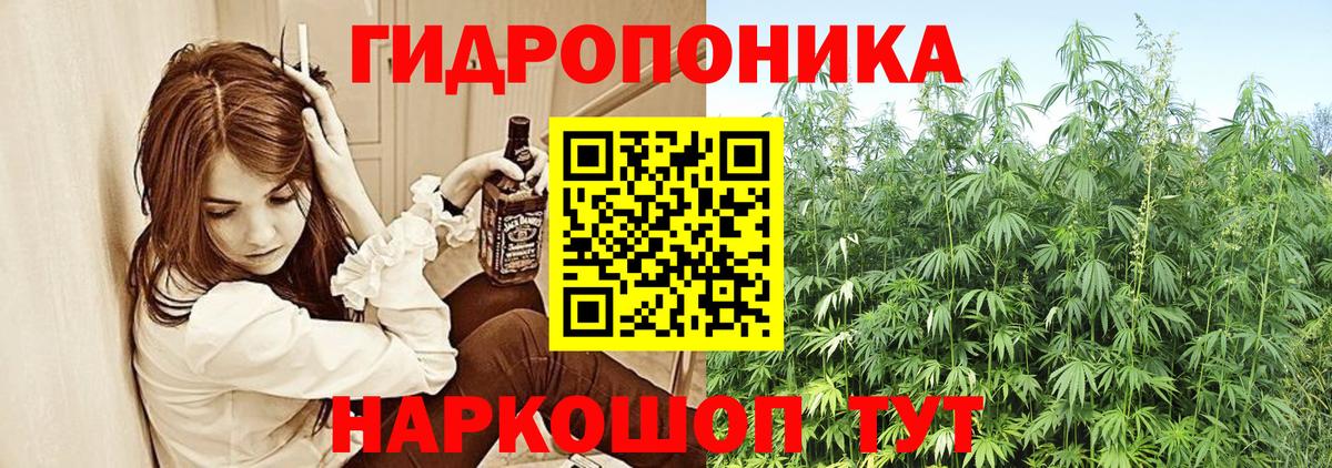 Шишки марихуана сатива Всеволожск